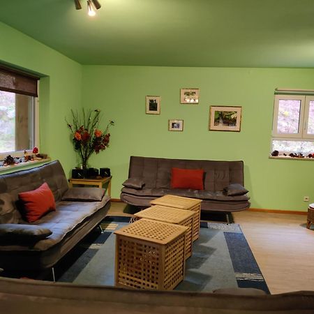 Ferienhaus Route 5 Elmstein 外观 照片
